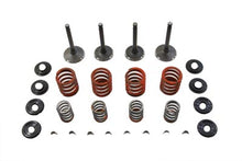 Load image into Gallery viewer, Nitrate Valve and Spring Kit