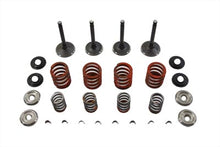 Load image into Gallery viewer, Nitrate Valve and Spring Kit