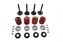 Load image into Gallery viewer, Nitrate Valve and Spring Kit