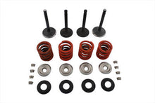 Load image into Gallery viewer, Nitrate Valve and Spring Kit