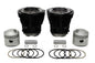 Replica 74 inch Panhead Cylinder Piston Kit
