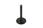 Nitrate Steel Intake Valve