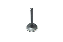Load image into Gallery viewer, Nitrate Steel Exhaust Valve