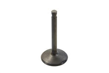 Load image into Gallery viewer, Stainless Steel Nitrate Intake Valve