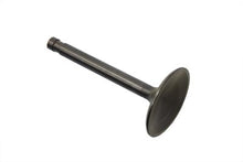 Load image into Gallery viewer, Stainless Steel Nitrate Intake Valve