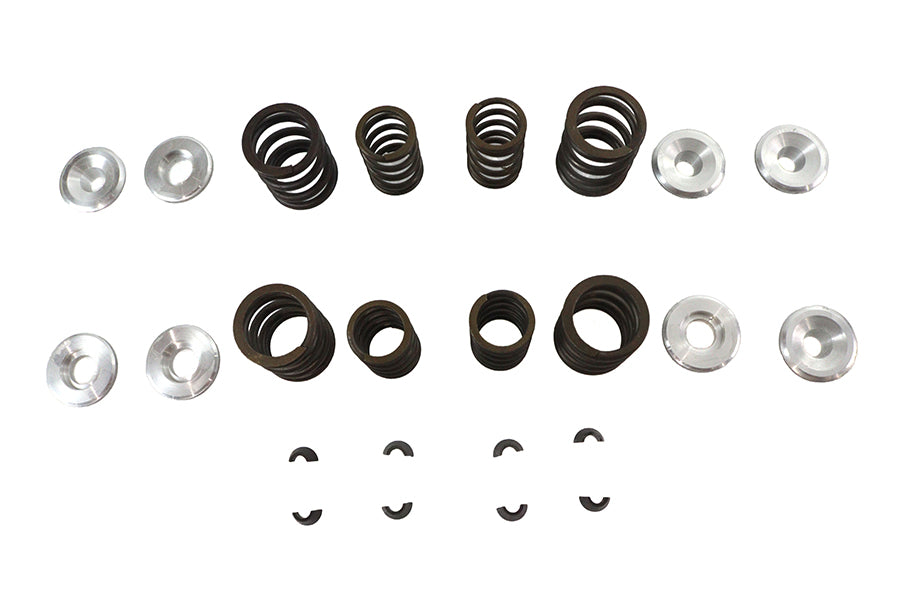 Sifton XL Valve Spring Kit