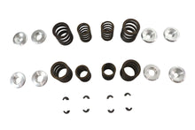 Load image into Gallery viewer, Sifton XL Valve Spring Kit