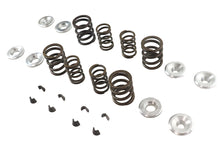 Load image into Gallery viewer, Sifton XL Valve Spring Kit