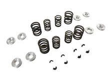 Load image into Gallery viewer, Sifton XL Valve Spring Kit