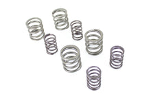 Load image into Gallery viewer, Kibblewhite Stock Replacement Valve Spring Set