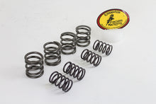 Load image into Gallery viewer, Kibblewhite Stock Replacement Valve Spring Set