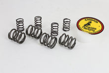 Load image into Gallery viewer, Kibblewhite Stock Replacement Valve Spring Set