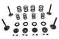 Kibblewhite Valve and Spring Kit