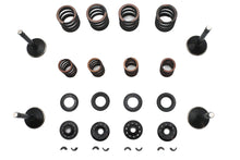 Load image into Gallery viewer, Kibblewhite Valve and Spring Kit