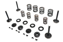 Load image into Gallery viewer, Kibblewhite Valve and Spring Kit