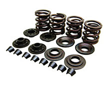 Load image into Gallery viewer, Kibblewhite Valve and Spring Kit