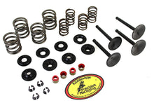 Load image into Gallery viewer, Kibblewhite Valve and Spring Kit