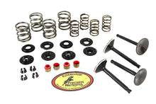Load image into Gallery viewer, Kibblewhite Valve and Spring Kit