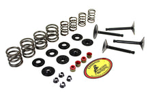 Load image into Gallery viewer, Kibblewhite Valve and Spring Kit