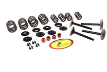 Load image into Gallery viewer, Kibblewhite Valve and Spring Kit