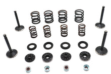 Load image into Gallery viewer, Kibblewhite Valve and Spring Kit