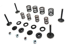 Load image into Gallery viewer, Kibblewhite Valve and Spring Kit