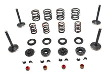 Load image into Gallery viewer, Kibblewhite Valve and Spring Kit
