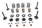 Kibblewhite Valve and Spring Kit