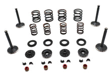 Load image into Gallery viewer, Kibblewhite Valve and Spring Kit