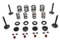 Kibblewhite Valve and Spring Kit
