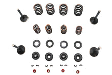 Load image into Gallery viewer, Kibblewhite Valve and Spring Kit