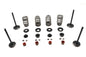 Kibblewhite Valve and Spring Kit