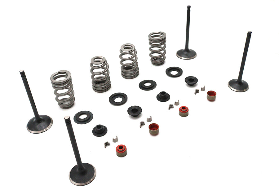 Kibblewhite Valve and Spring Kit