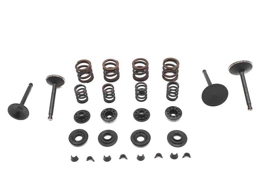 Kibblewhite Valve and Spring Kit