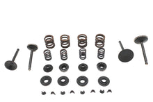 Load image into Gallery viewer, Kibblewhite Valve and Spring Kit