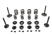 Load image into Gallery viewer, Kibblewhite Valve and Spring Kit
