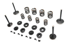 Load image into Gallery viewer, Kibblewhite Valve and Spring Kit