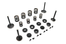 Load image into Gallery viewer, Kibblewhite Valve and Spring Kit