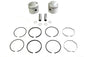 Replica 74 inch Overhead Valve 3-7/16 inch Piston Set Standa