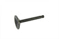 Stainless Black Diamond Intake Valve