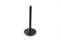 Stainless Black Diamond Intake Valve