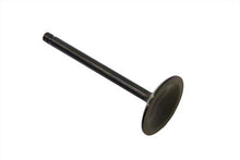 Load image into Gallery viewer, Stainless Black Diamond Intake Valve
