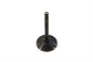 900cc Stainless Black Diamond Intake Valve