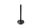 Stainless Black Diamond Exhaust Valve