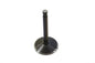 2.00 Black Diamond Nitrate Intake Valve