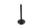 Black Nitrate Racing Exhaust Valve
