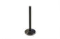 1200cc Black Diamond Stem Intake Valve