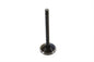 1200cc Black Diamond Stem Exhaust Valve