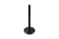 1200cc Black Diamond Stem Intake Valve