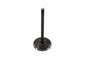 Black Diamond Stem Intake Valve